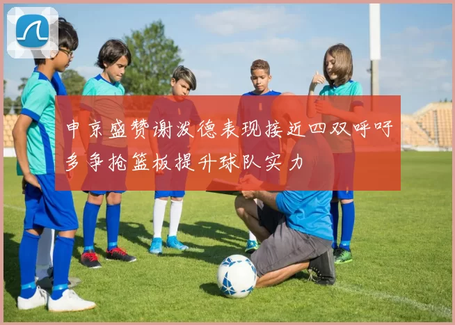 申京盛赞谢泼德表现接近四双呼吁多争抢篮板提升球队实力